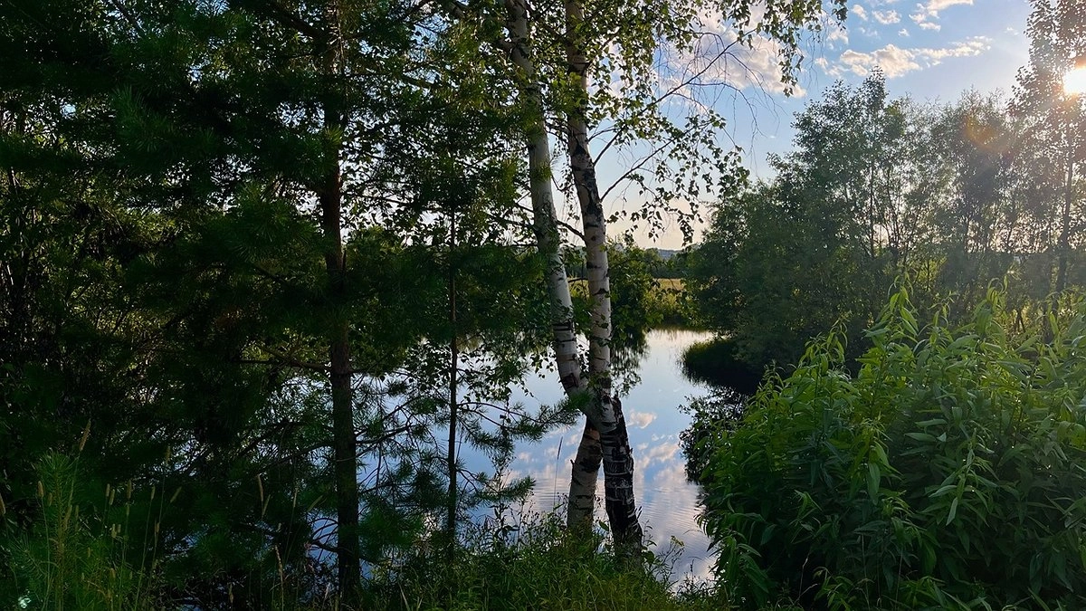 Главная картинка новости: Спасатели вывели из леса пожилую женщину в Коми