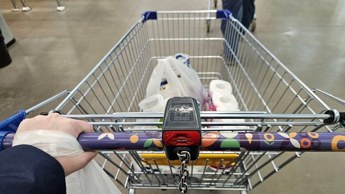 В Коми будущим мамам оказывают финансовую поддержку на приобретение продуктов