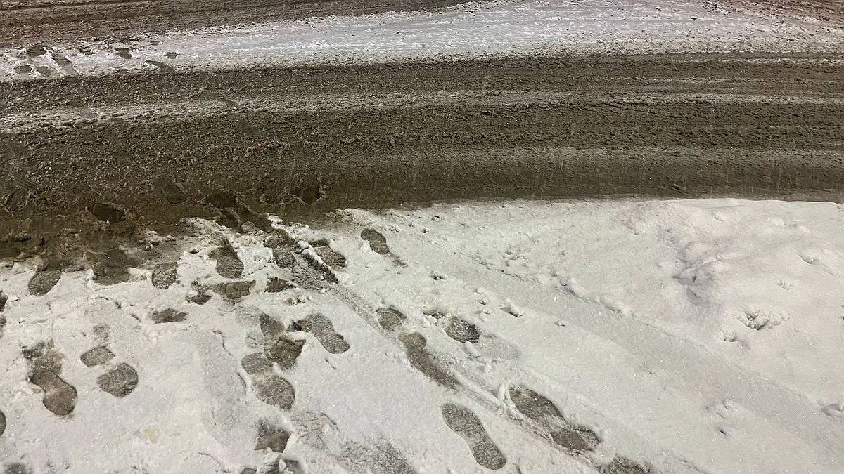 Погода в Коми 11 февраля будет холодной и снежной