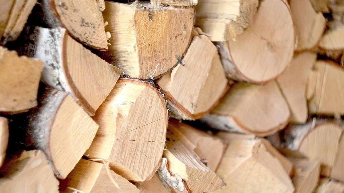 Главная картинка новости:  Прокуратура выявила нарушения при поставке дров жителям Коми