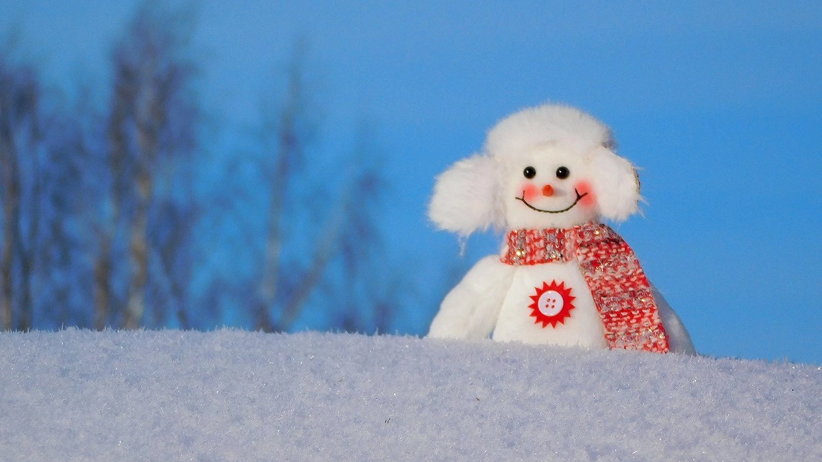 Главная картинка новости: Республика Коми готовится к снежной погоде и морозам в выходные дни