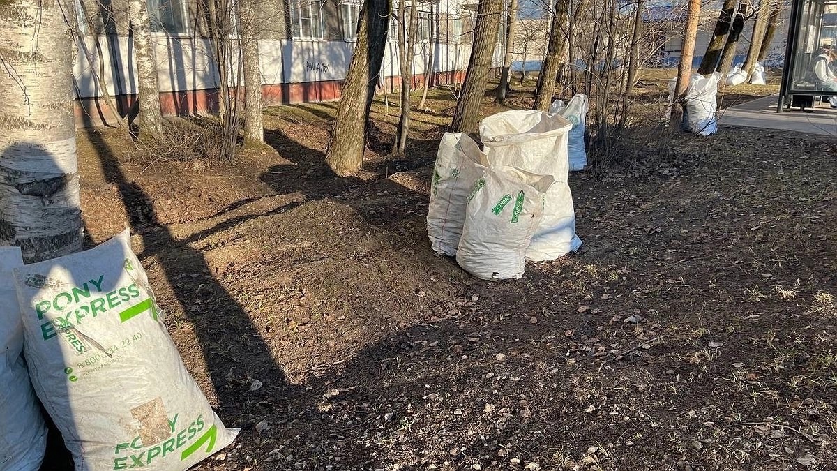 Главная картинка новости: Коми становится регионом добрых сердец