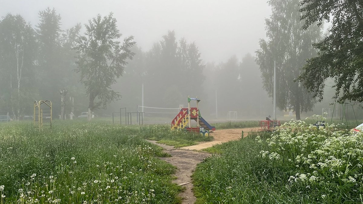 Главная картинка новости: В отдельных районах Коми 7 августа пройдут грозы и кратковременные дожди