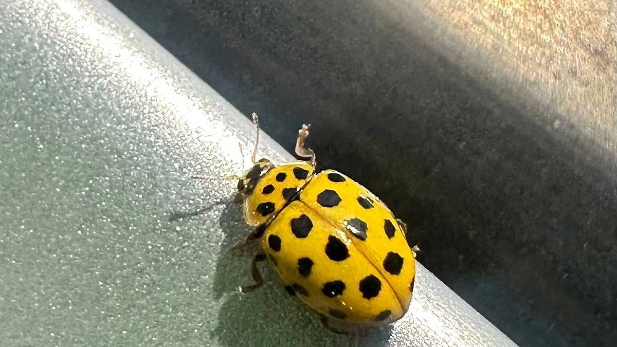 Главная картинка новости: Подробный прогноз погоды в Республике Коми на 7 июня: ожидаются переменчивые условия и осадки