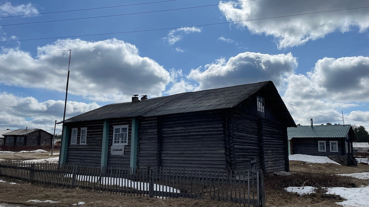 Главная картинка новости: Холода никуда не уходят: синоптик назвал даты, когда можно высаживать рассаду