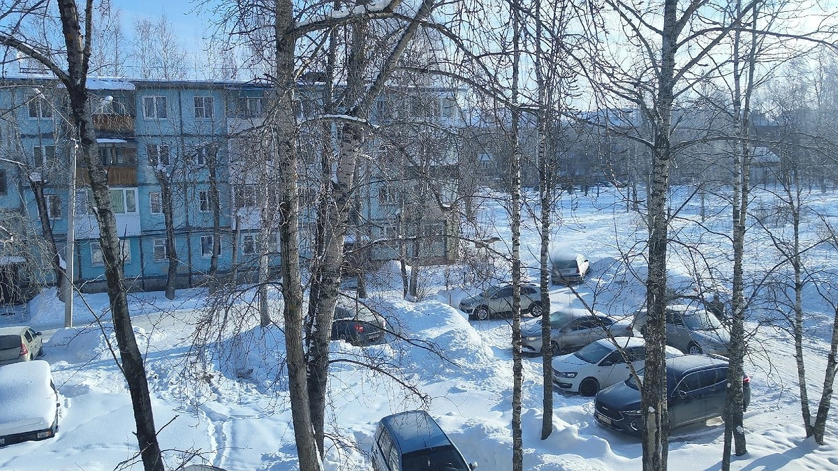 Главная картинка новости: «Начнется 15 декабря и будет две недели подряд». Синоптики дали неожиданный прогноз