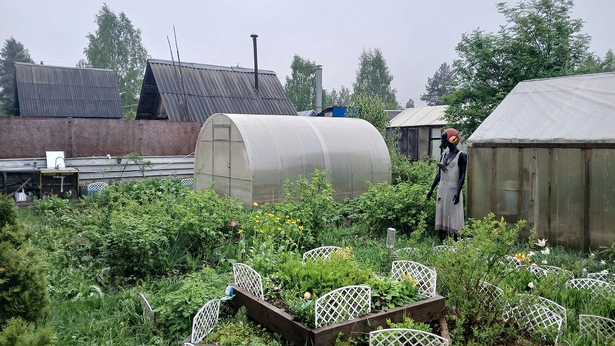 Дачники из Коми смогут образовывать новые населенные пункты из своих садоводческих и огородных сообществ
