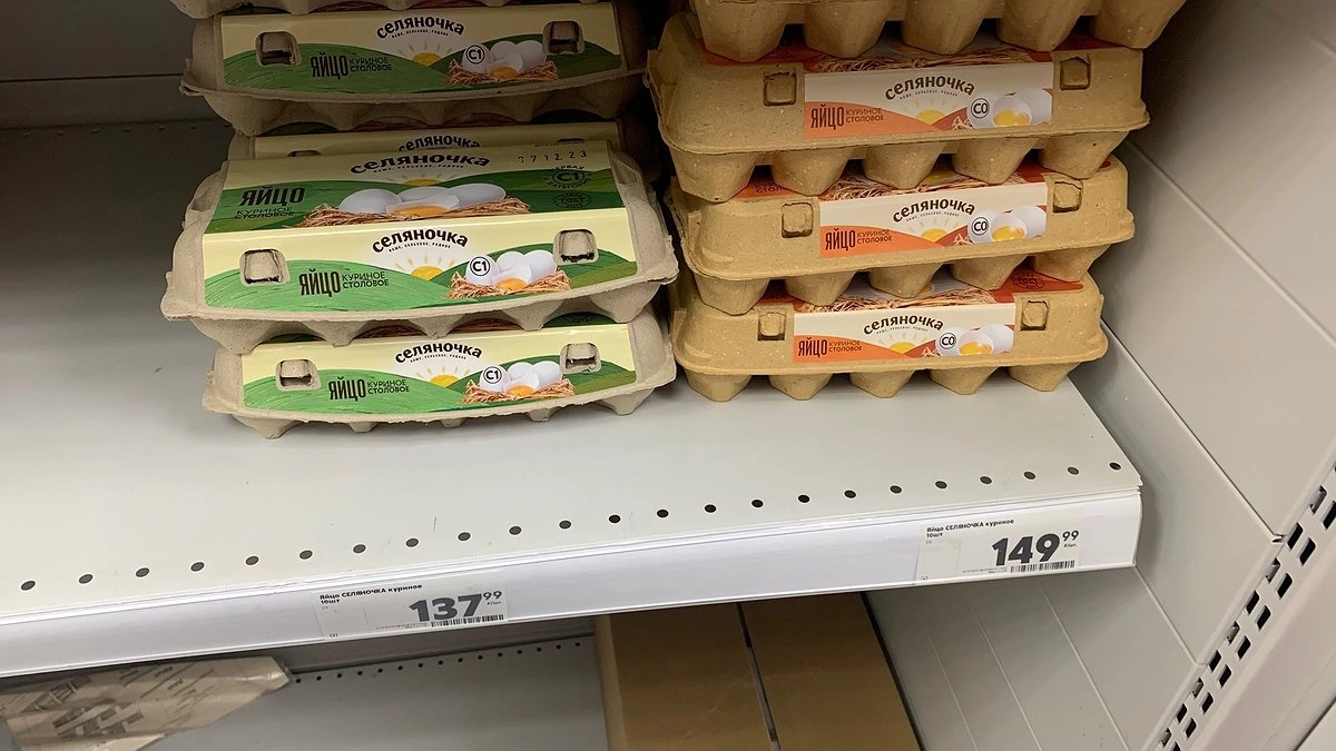 Главная картинка новости: Лотки от яиц спускаю в погреб — и всю зиму слезы счастья утираю тряпочкой: нужны не для хранения урожая — эффект дорогого стоит