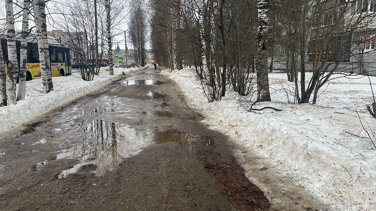 Главная картинка новости: Холода ударят в майские праздники, а июль принесет аномальную жару: ученые рассказали о прогнозе до зимы 2025 года