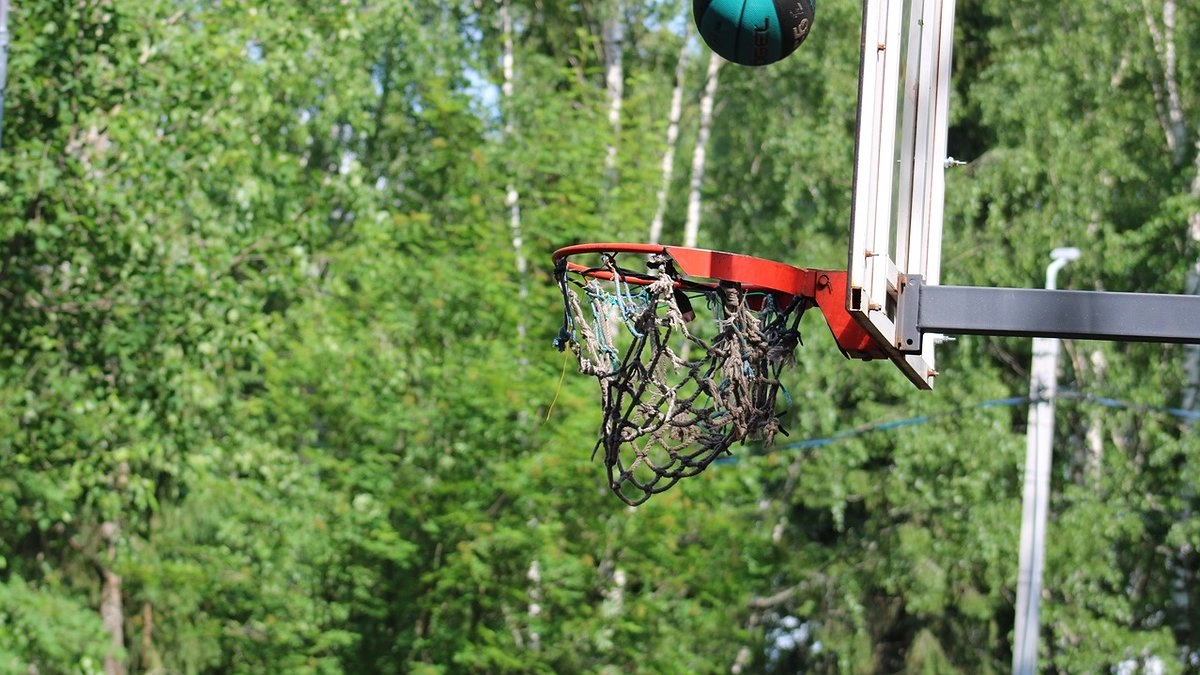 Главная картинка новости: В Коми сократилось количество спортсменов за последние 5 лет