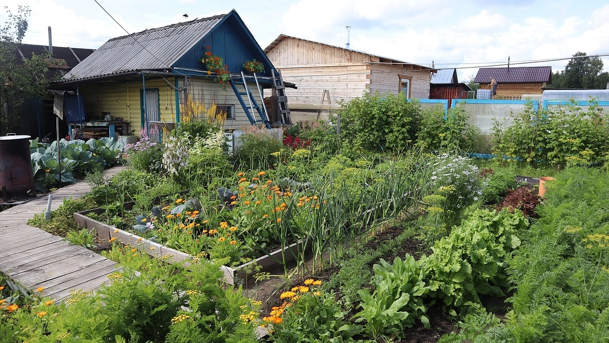 "Вот теперь все": дачникам грозит штраф в 10 000 рублей – вот за что