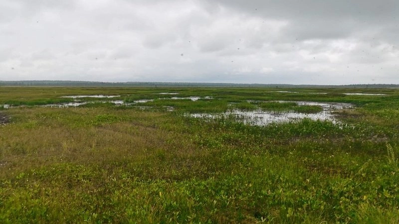 Главная картинка новости: Спасатели нашли погибшего охотника под Усинском