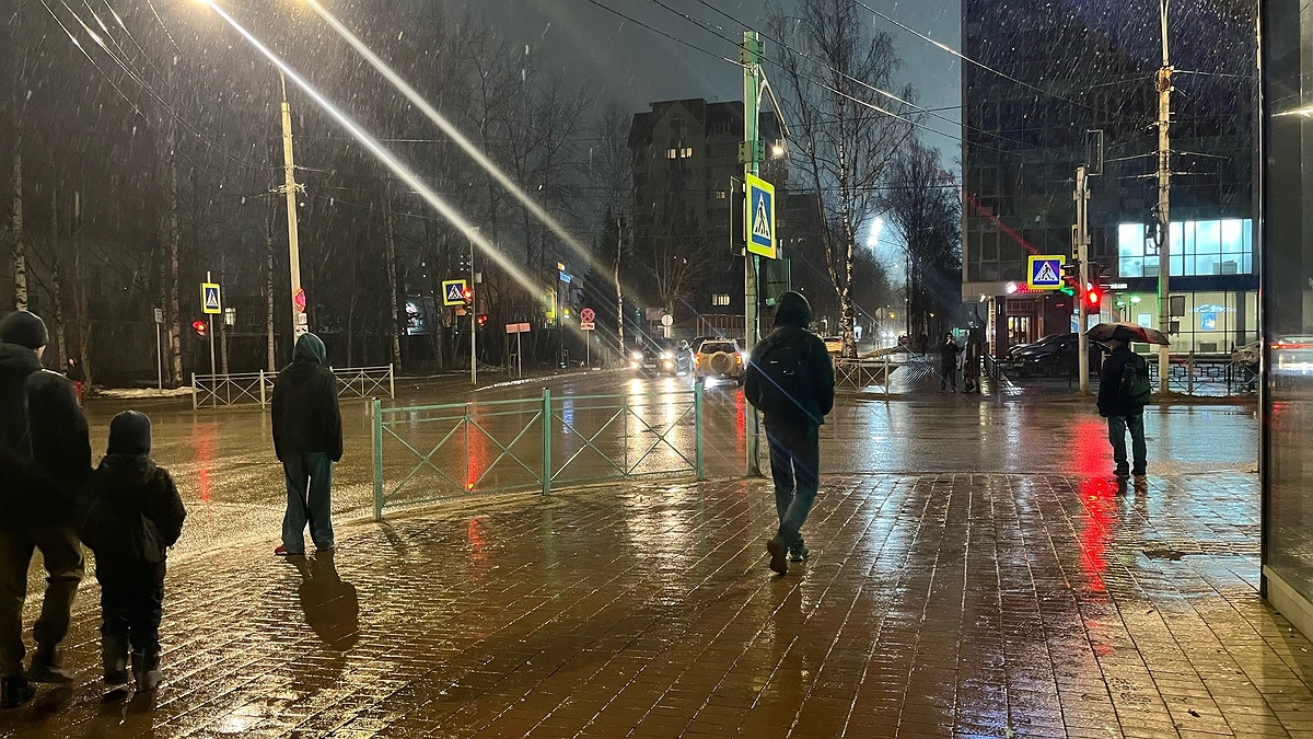 Главная картинка новости: Бабьего лета не будет: синоптики дали новые данные — к чему готовиться в сентябре