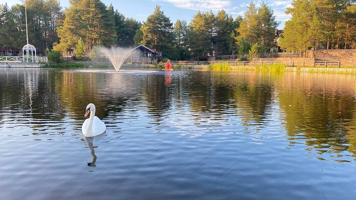 Главная картинка новости: «В этот красивый ад больше ни ногой»: российский турист поделился честным отзывом об отдыхе в Абхазии