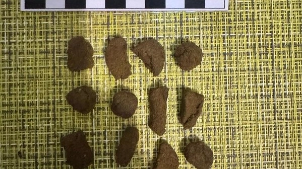 Главная картинка новости: В Коми наркополицейские с поличным задержали сбытчика гашиша