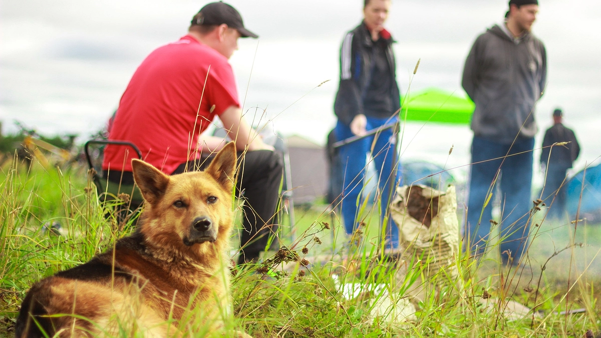 Аномальная жара нагрянет после 21 марта: лето начнется на два месяца раньше