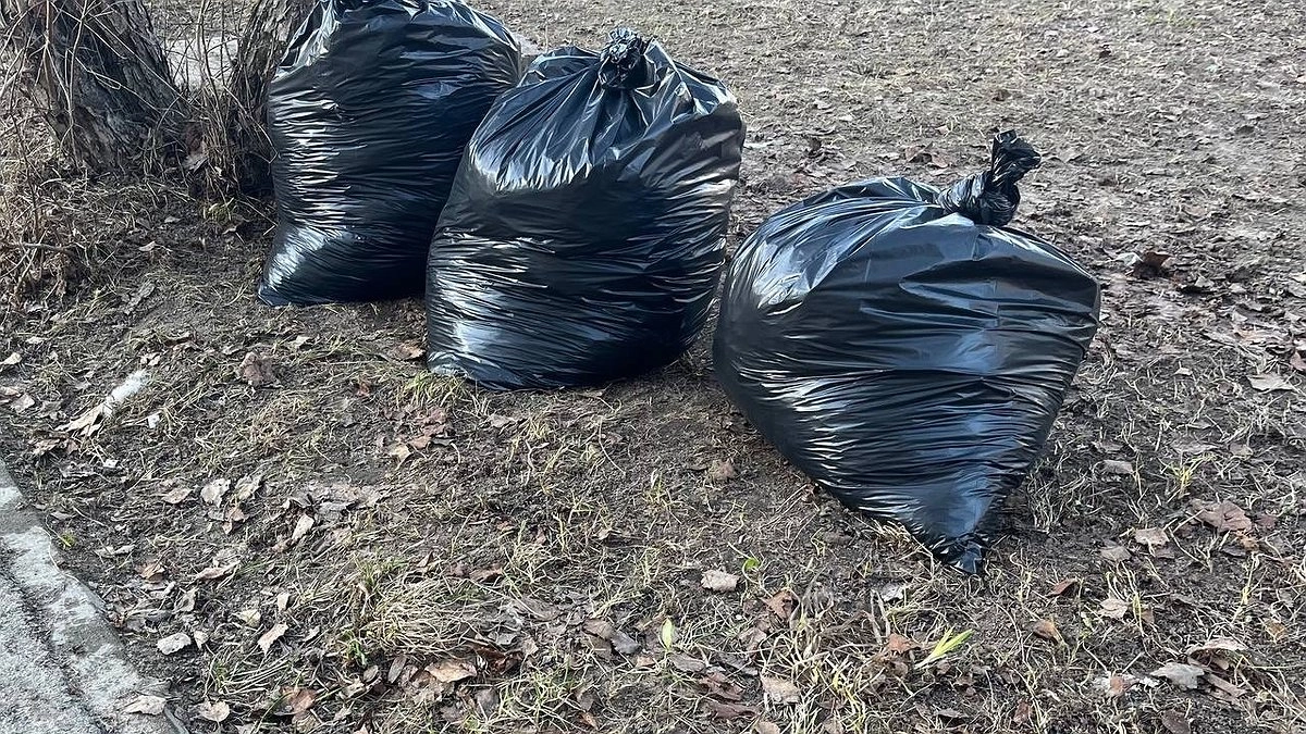 Главная картинка новости: В Усинске продолжается экологическая акция «Речная лента — 2025»