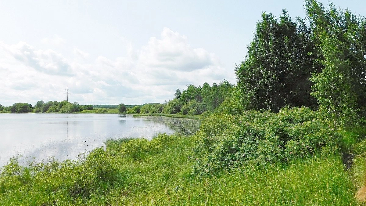 Главная картинка новости: В Коми 3 августа сохранится жаркая и засушливая погода