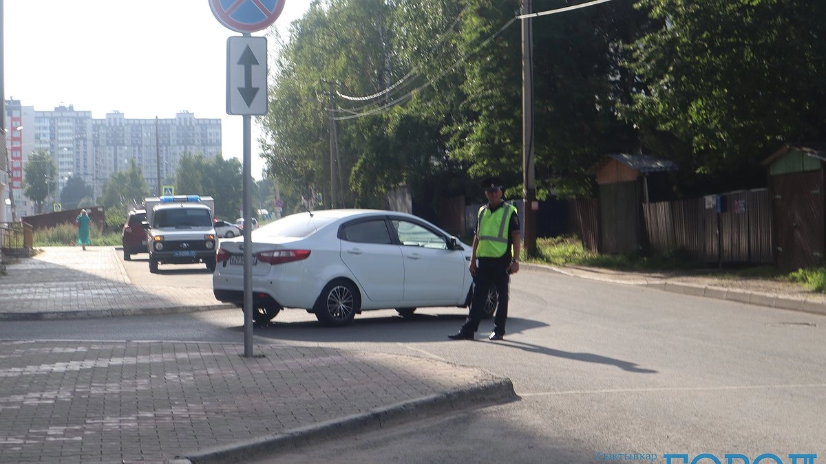 Главная картинка новости: Показать язык инспектору: законно ли требование и как избежать провокации