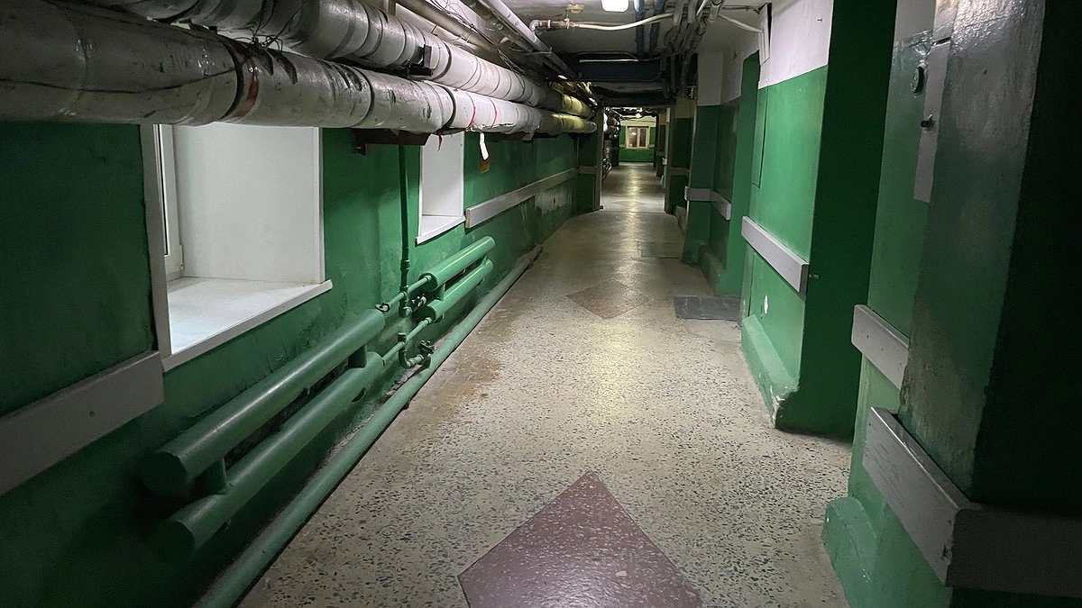 Главная картинка новости: В 2024 году диспансеризацию репродуктивного здоровья прошли почти 3 тыс. жителей Заполярья