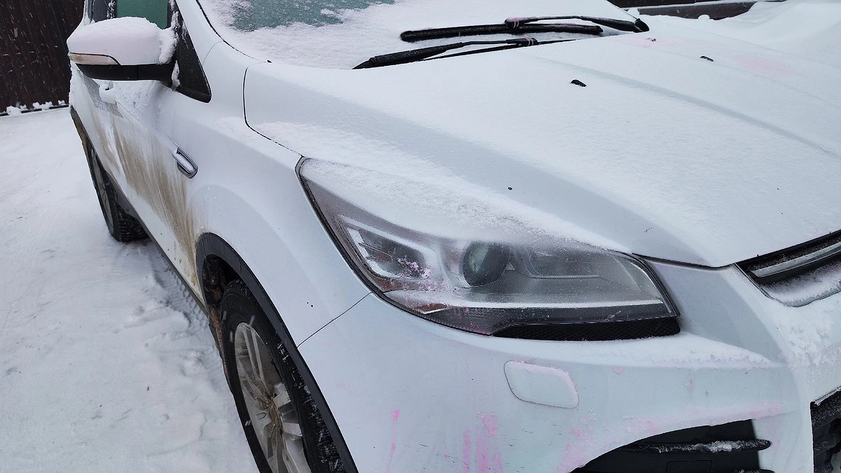 Главная картинка новости: Житель Коми отправится в места лишения свободы за удар камнем в лицо потенциальному покупателю его автомобиля