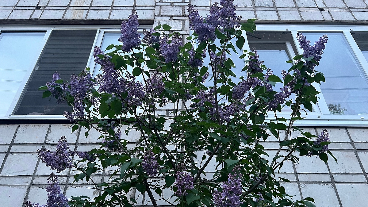 Весной ударят аномальные морозы намного суровее зимних. Синоптики обновили прогноз на март и апрель