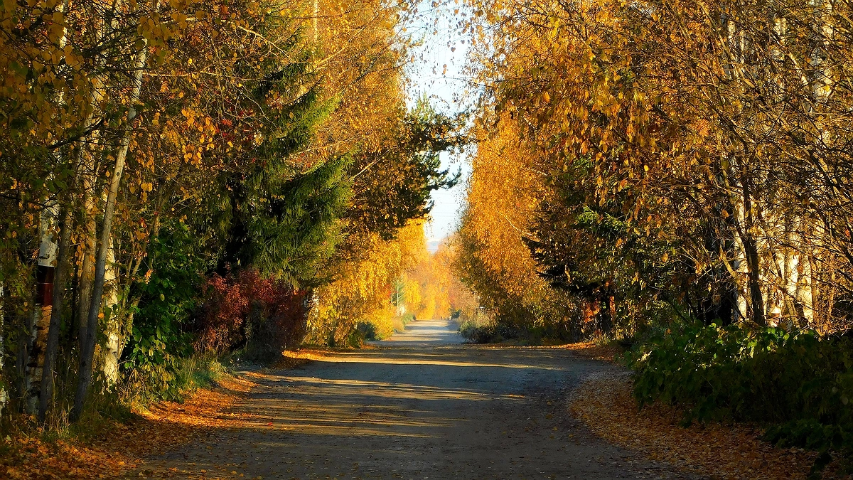 Главная картинка новости: Какой будет погода в октябре 2025 в Росси: прогноз синоптиков
