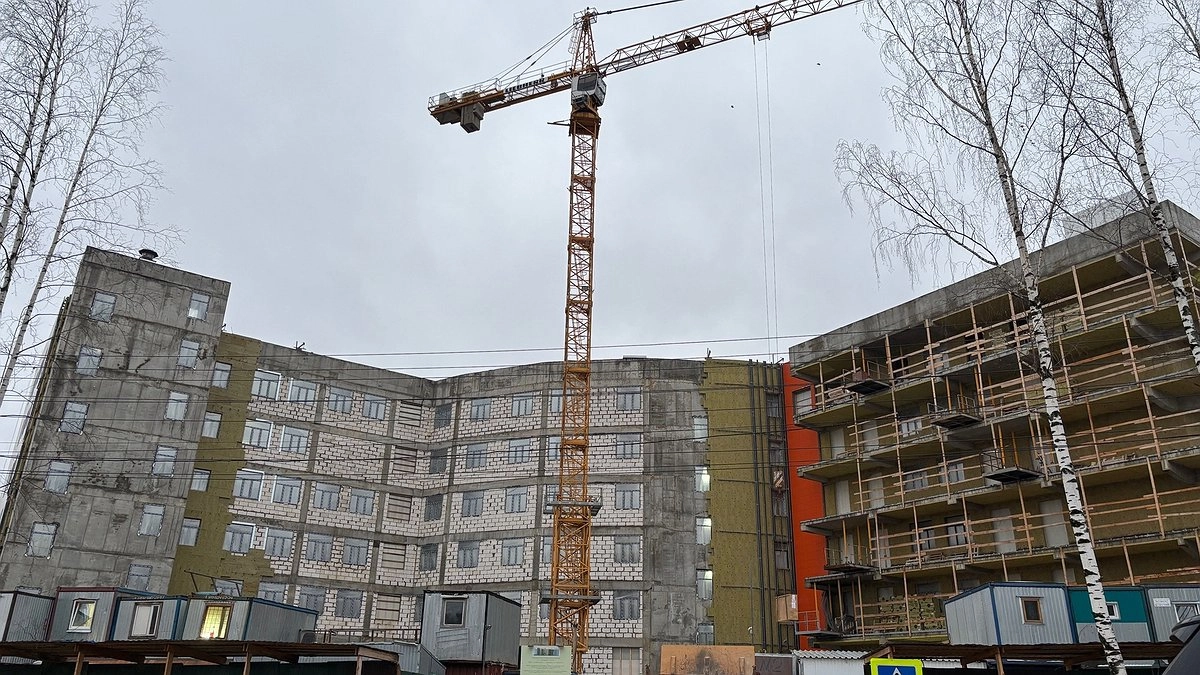 Главная картинка новости: Коми против "налога на тунеядство": лишь каждый пятый поддерживает инициативу обложить неработающих НДФЛ