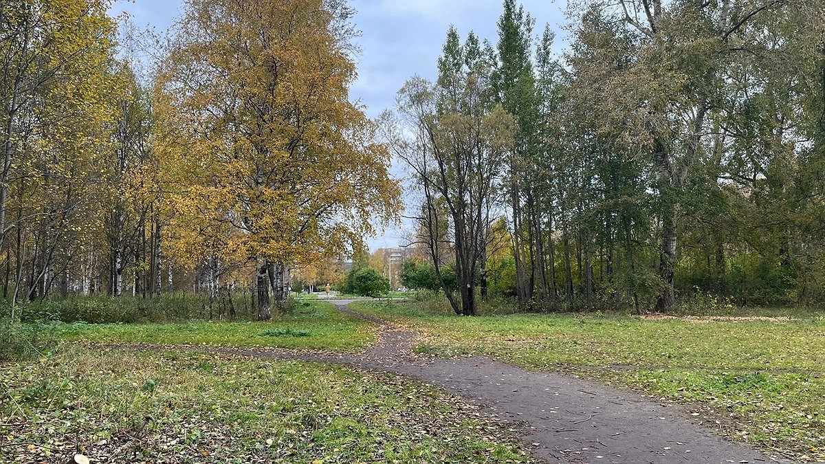 Главная картинка новости: В Коми 7 октября потеплеет и установится сухая погода