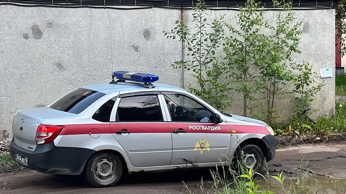 Главная картинка новости: В Усинске росгвардейцы вывезли нарушительницу порядка из общежития