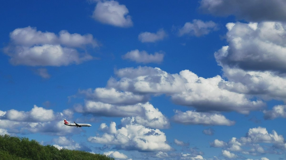 Главная картинка новости: Перелет по России со скидкой 50%: Роман Старовойт отметил, кто точно получит билет за полцены уже сегодня