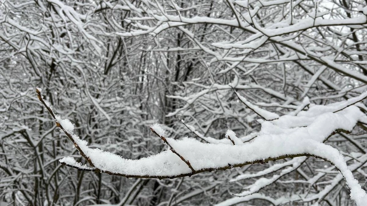 В Коми 11 декабря ожидаются снегопады и усиление ветра