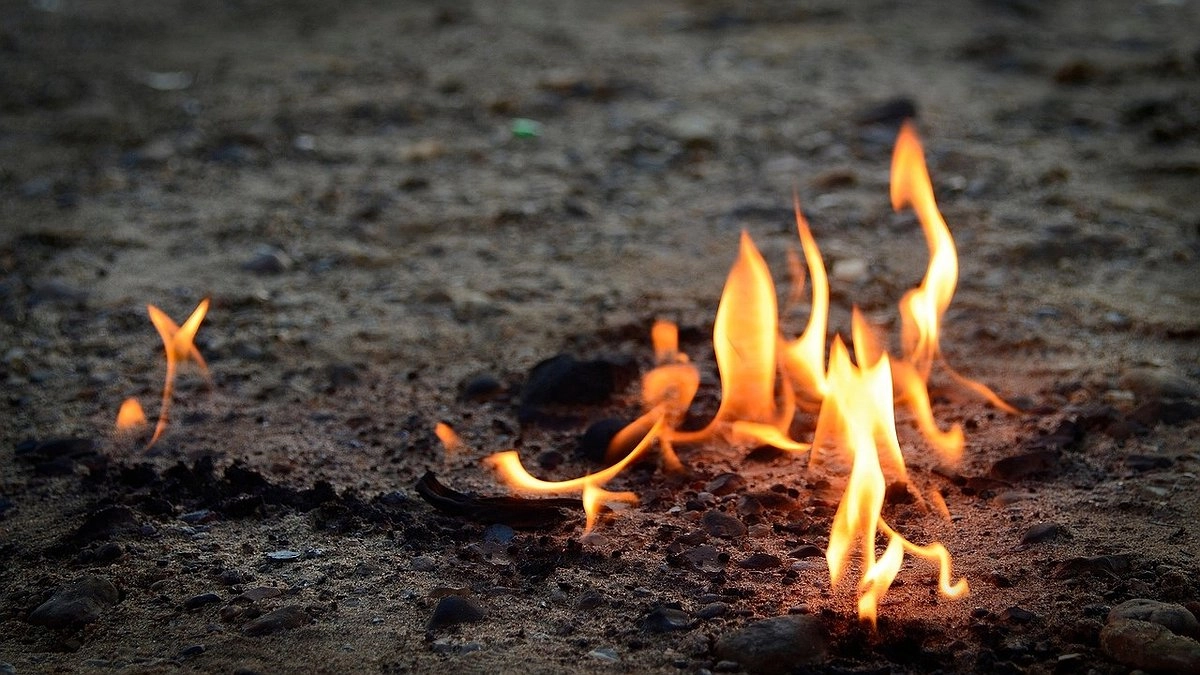 Главная картинка новости: Леса Коми в огне: число пожаров растет угрожающими темпами