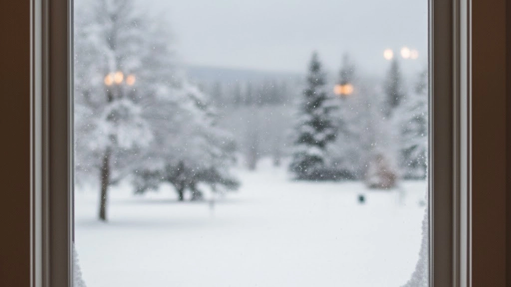 Главная картинка новости: Из окон не дует даже в пургу: простой предмет на подоконнике блокирует сквозняки и источает ароматы леса