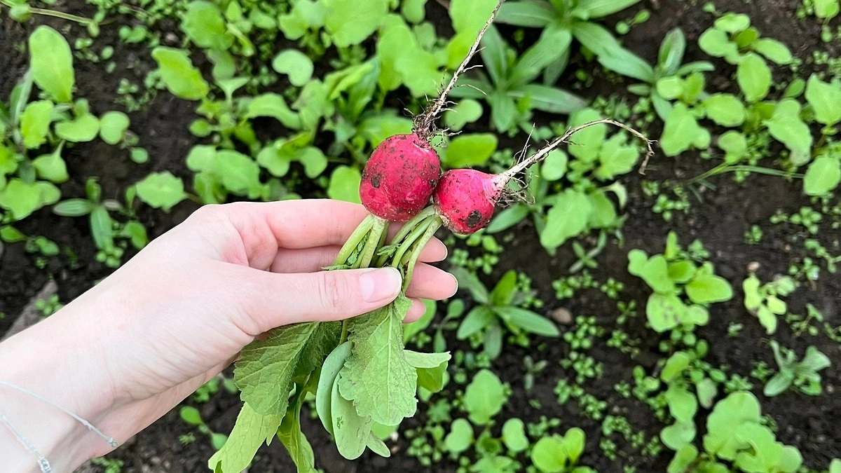 Главная картинка новости: Усинск встречает вторник лучами солнца, но с ледяным дыханием