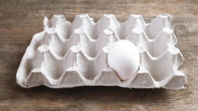 Ушлые дачники лотки от яиц не выбрасывают — копят их всю зиму: Три способа использования на участке