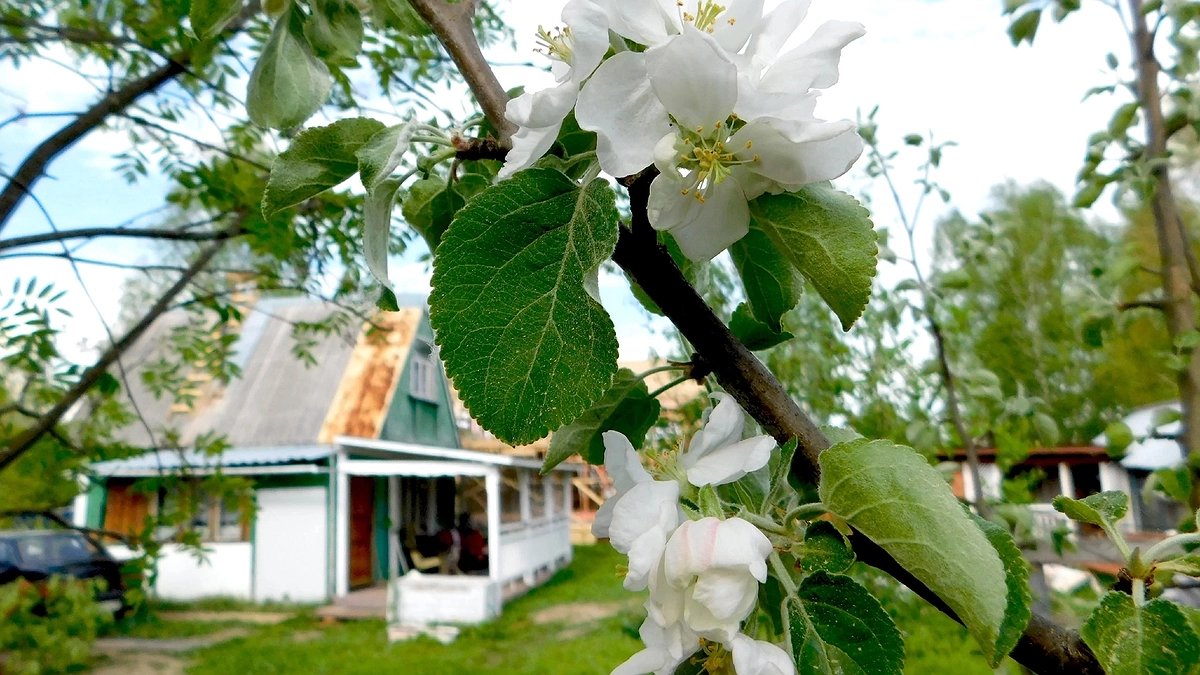 Главная картинка новости: Семья американцев пригласила меня к себе в гости на ужин. Что они говорили о России и русских и чем угощали?