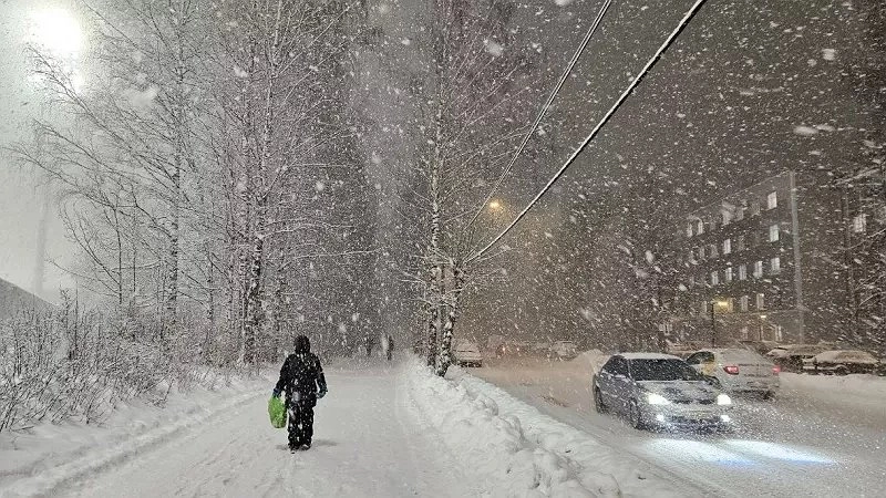 Главная картинка новости: «Декабрь, январь и февраль будут такими»: синоптики огласили новый прогноз на зиму 2026