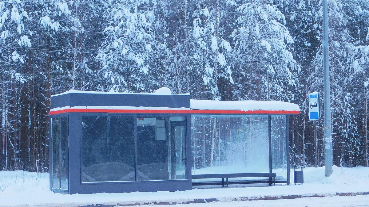 В Республике Коми 1 февраля ожидаются сильные морозы и снег