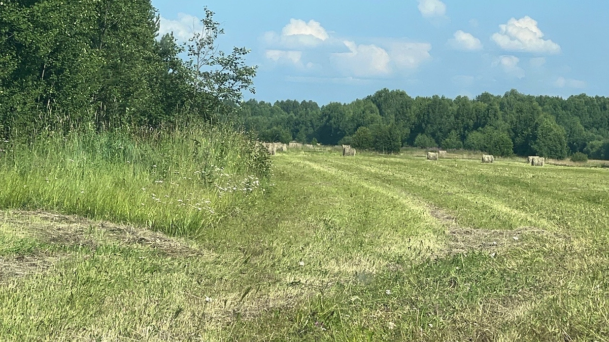 Даже курьеры столько не получают: люди нашли в полях Башкирии большое золотое дно