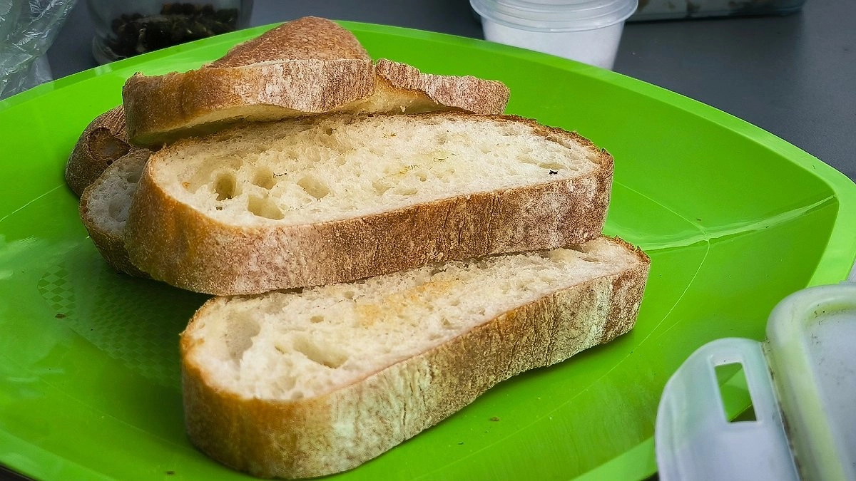 Главная картинка новости: Помещения "Сыктывкархлеба" обследуют на наличие грызунов и насекомых