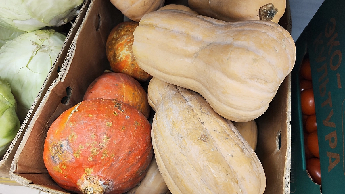 Главная картинка новости: Овощ, который быстро умерщвляет почки: в Европе его не едят, а в России все обожают