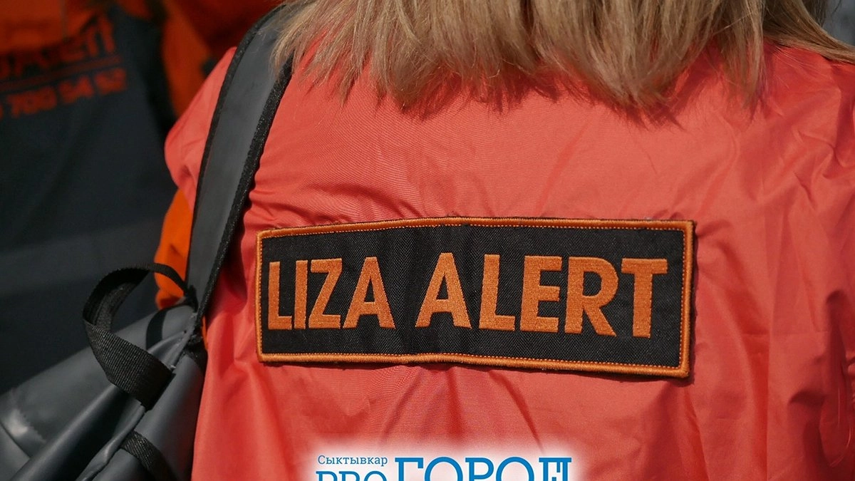 В Коми спасатели обнаружили тело пропавшего мальчика 