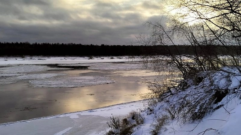 Главная картинка новости: Весна вступает в права: Вильфанд назвал даты аномального потепления