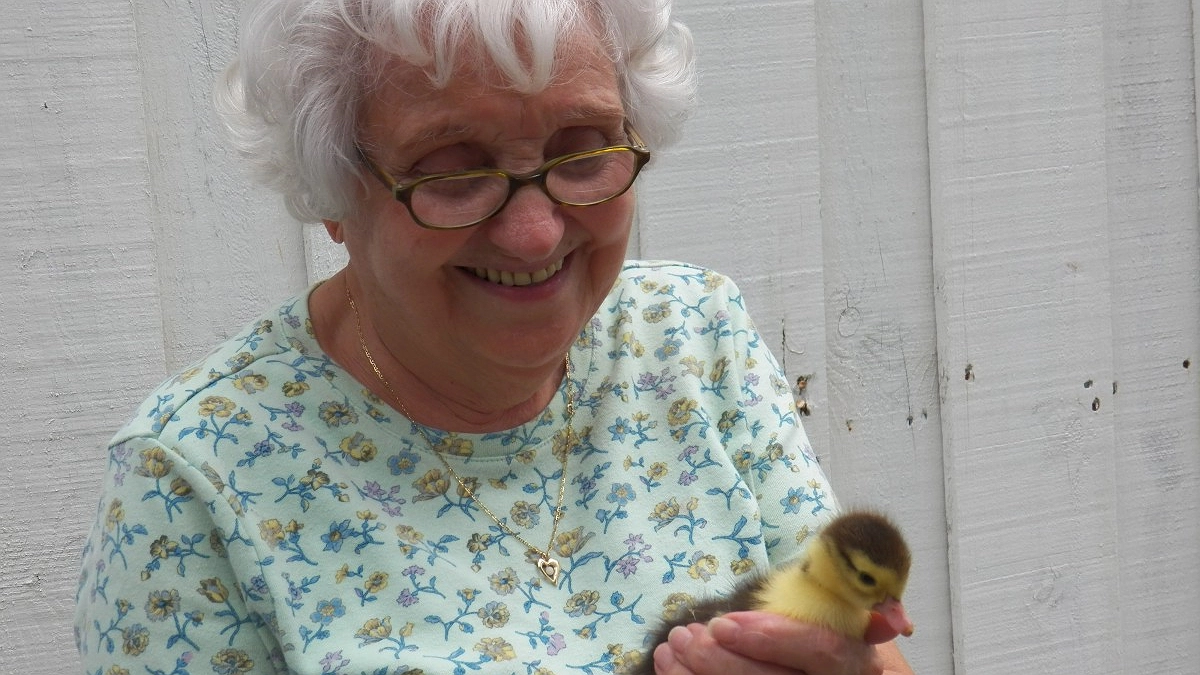 Главная картинка новости: В старости научитесь быть «холодным»: никогда не отвечайте на эти 7 вопросов