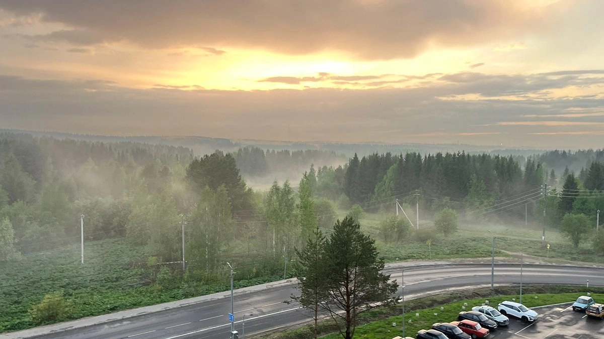 Главная картинка новости: 29 июля в Республике Коми ожидается переменная облачность и туман в ряде районов