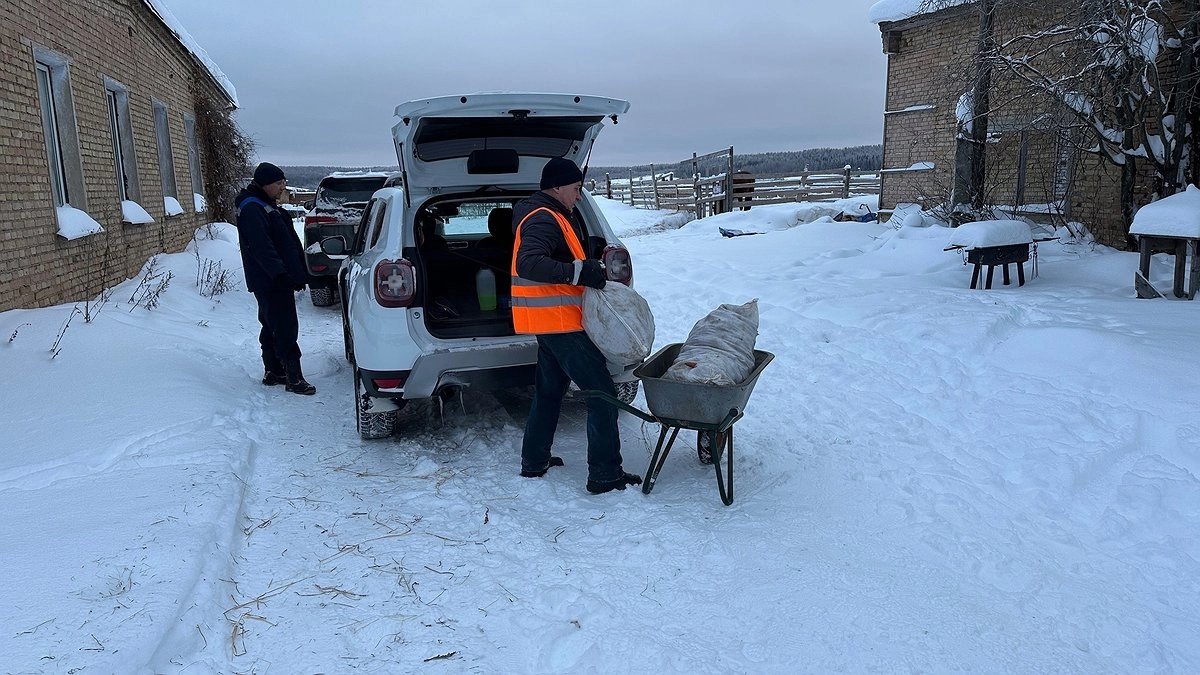 Главная картинка новости: В Коми открывают "зеленый свет" волонтерам: Минприроды упрощает взаимодействие с добровольцами