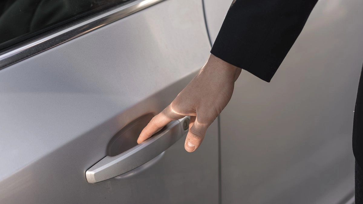 Двери станут бесшумными: Как полностью избавиться от скрипа ограничителей раз и навсегда. Крутой водительский лайфхак 