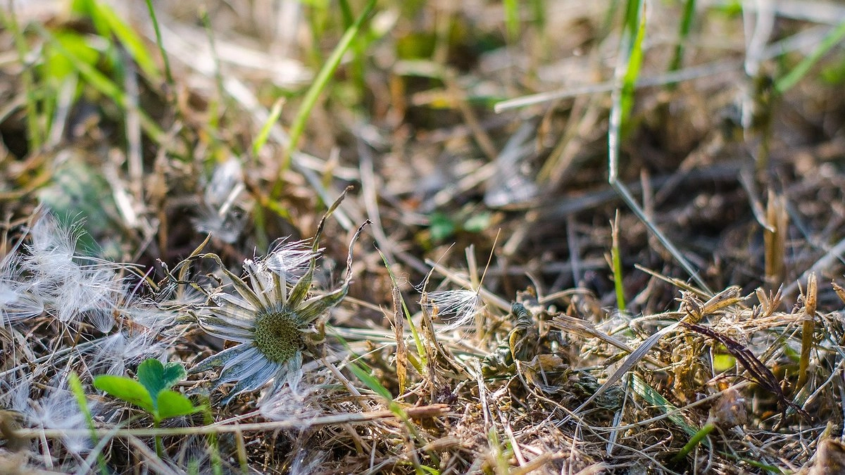 Главная картинка новости: Усинск встречает апрельское утро морозцем и ярким солнцем