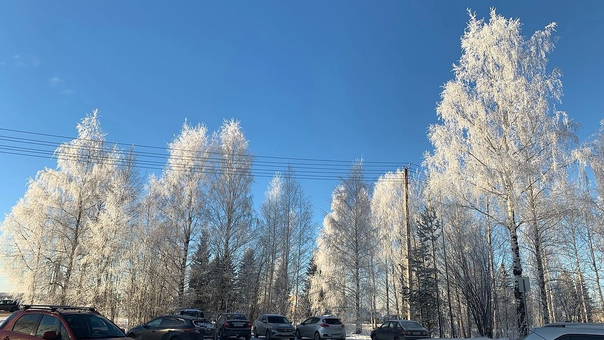 Главная картинка новости: «Январь будет самым аномальным». Синоптики обновили прогноз на середину зимы